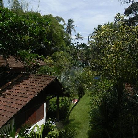 Chalet Y Cabinas Hibiscus Cahuita Exterior photo