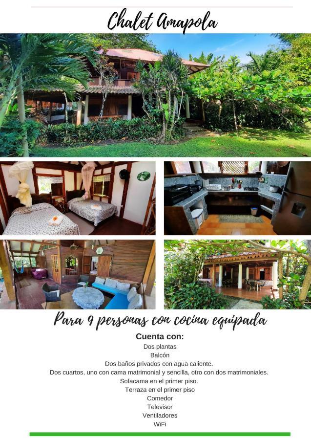 Chalet Y Cabinas Hibiscus Cahuita Exterior photo