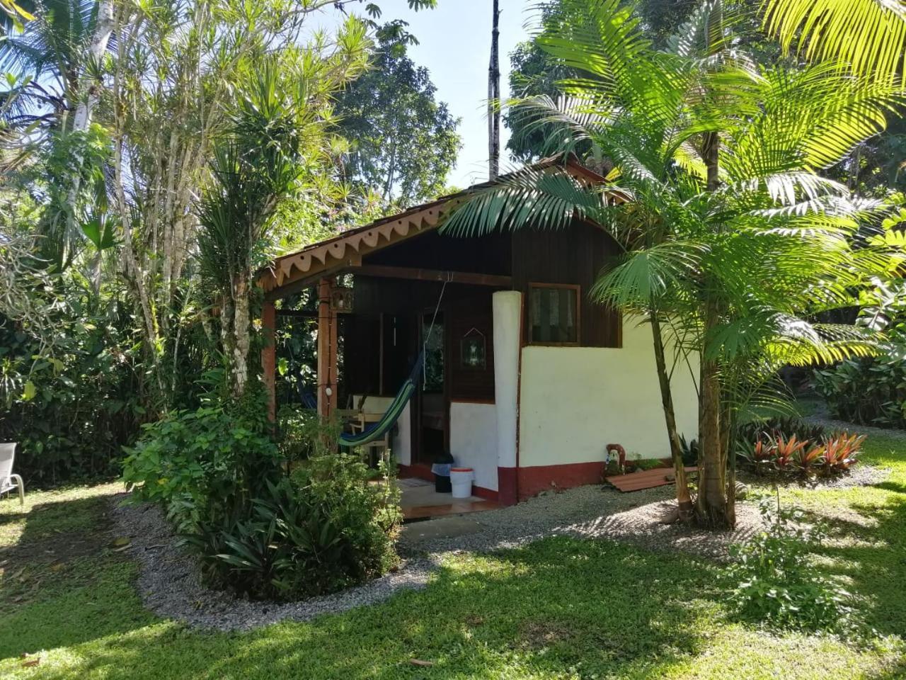 Chalet Y Cabinas Hibiscus Cahuita Exterior photo