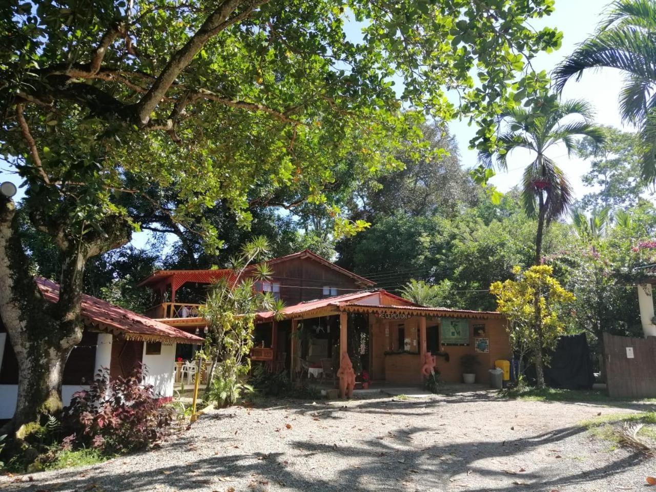 Chalet Y Cabinas Hibiscus Cahuita Exterior photo